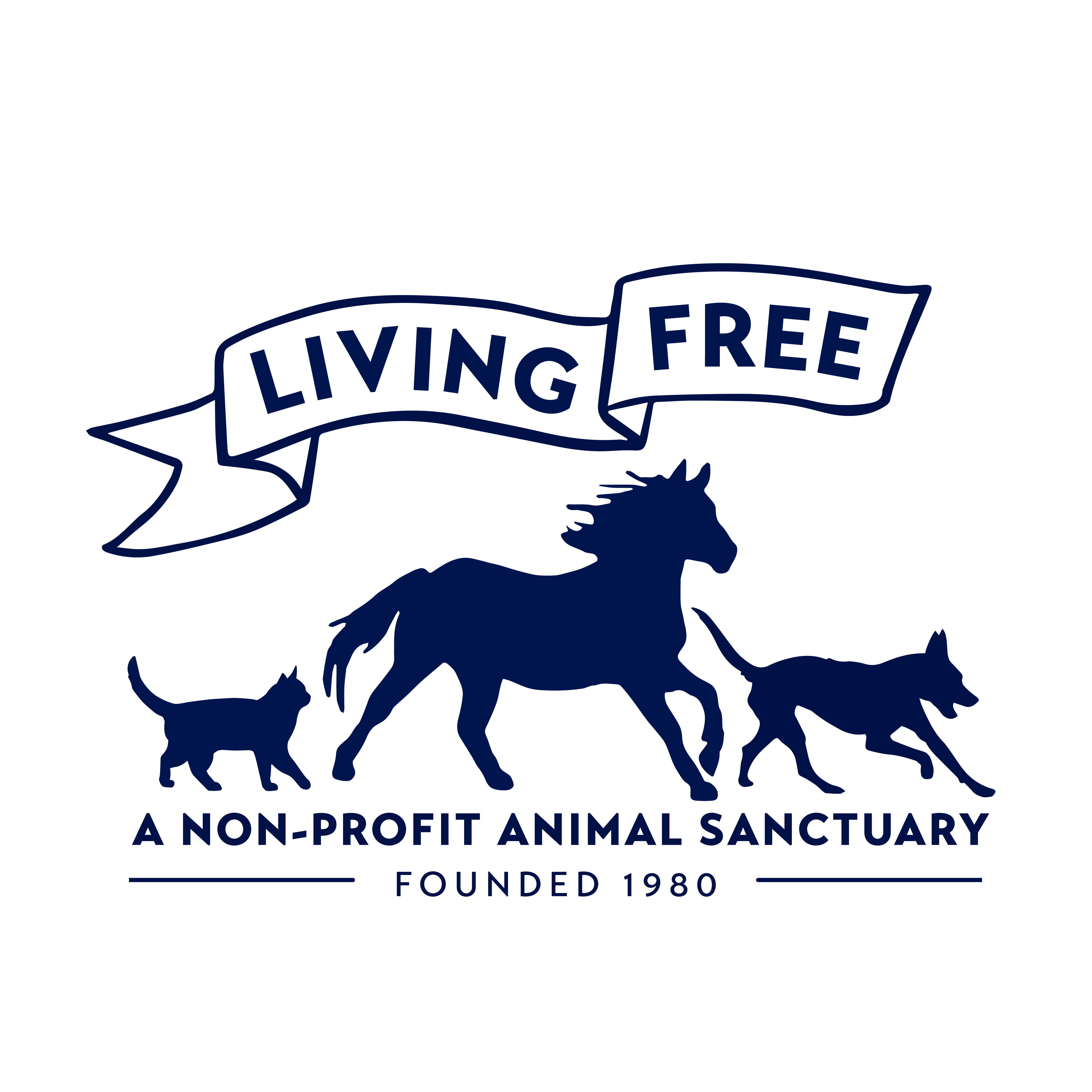 California Car Donations