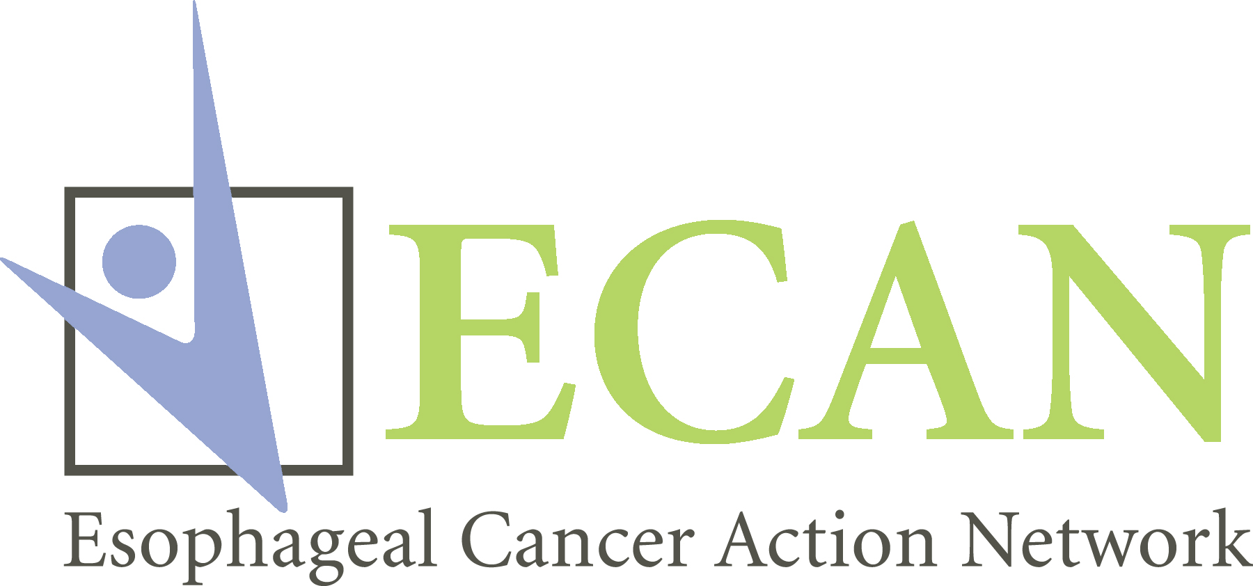 Esophageal Cancer Action Network Inc