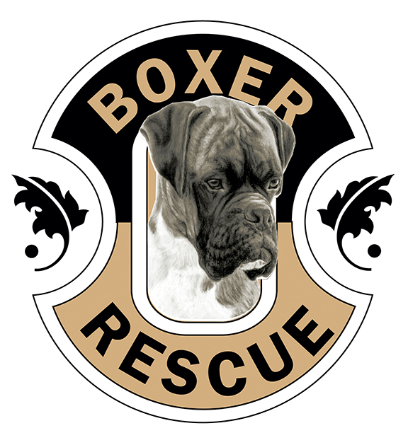 Boxer Rescue Los Angeles