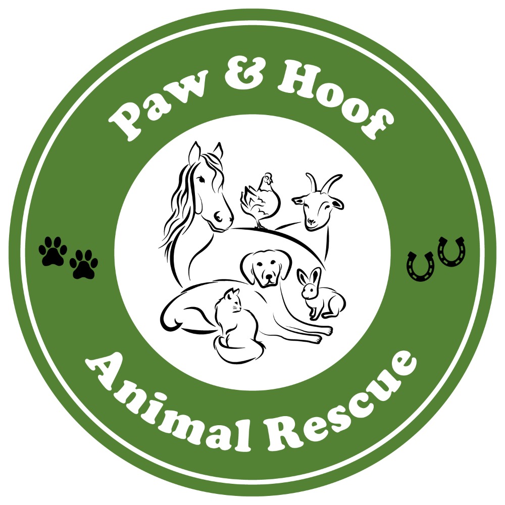 Animal Rescue Logo