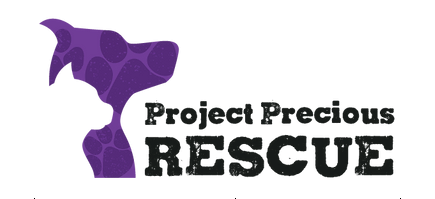 Project Rescue Logo Project Summary RESCUE Project