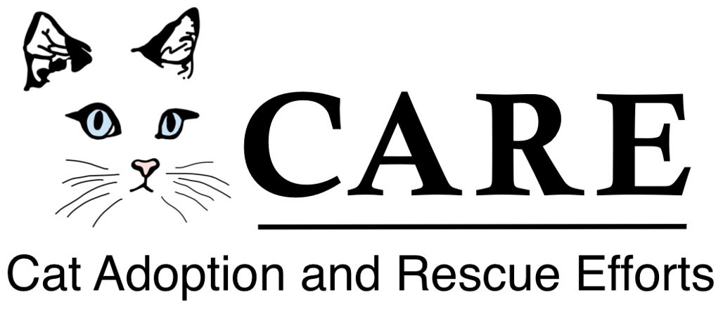 Donate A Car To A Nonprofit